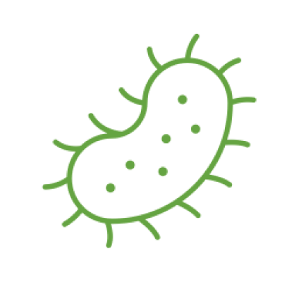 bacteria icon